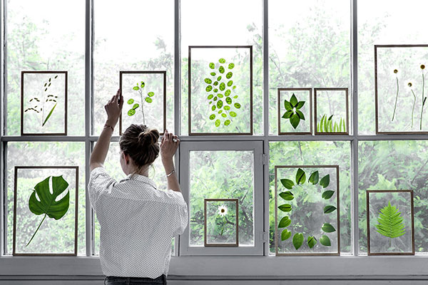 bilderrahmen – transparent, eiche, acrylglas bilderrahmen - transparent, eiche, acrylglas