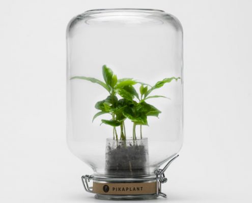 mini glashaus